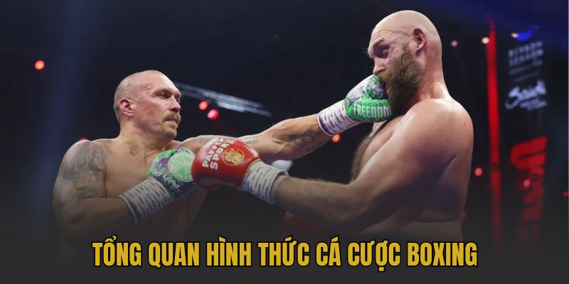 Cá Cược Boxing